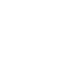 Lighting and Electrical
